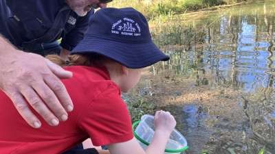 What is a Zombie Fish?