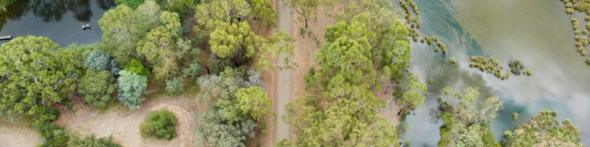 Cussen Park Tatura 20 DJI 0079 08 March 2023 Lingy