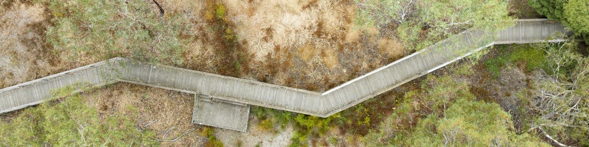 Cussen Park Tatura 34 DJI 0094 08 March 2023 Lingy