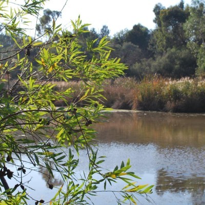 Cussen Park, Tatura