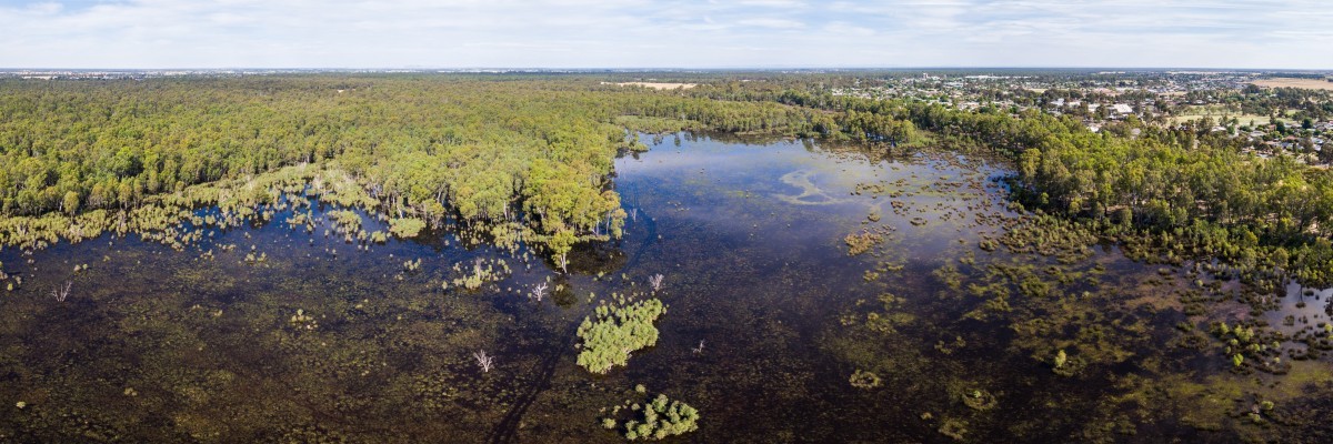 Gemmill Swamp Aerial Drone - 20161201 - 0032-Pano