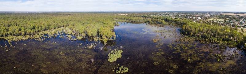 Gemmill Swamp Mooroopna