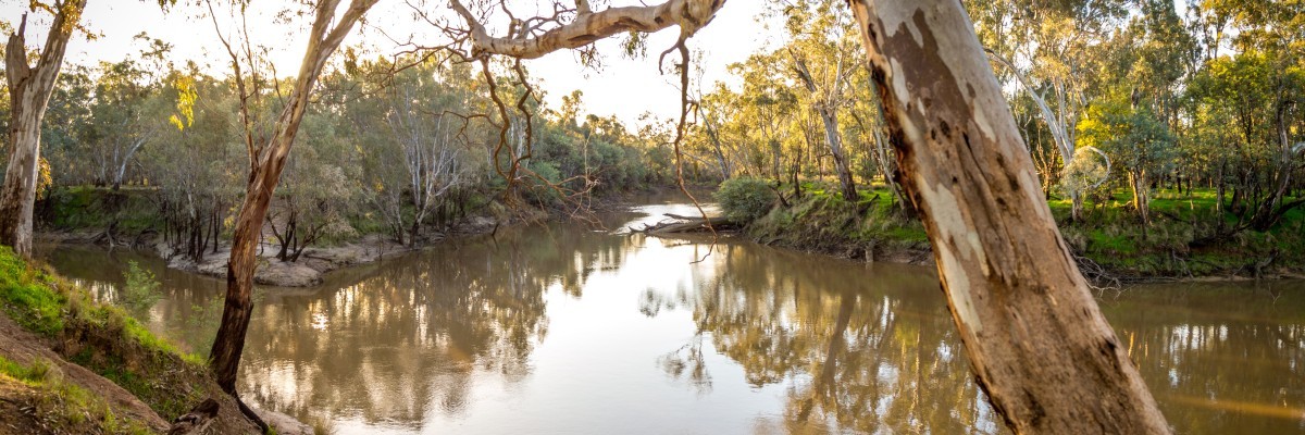 Goulburn and Broken River Confluence
