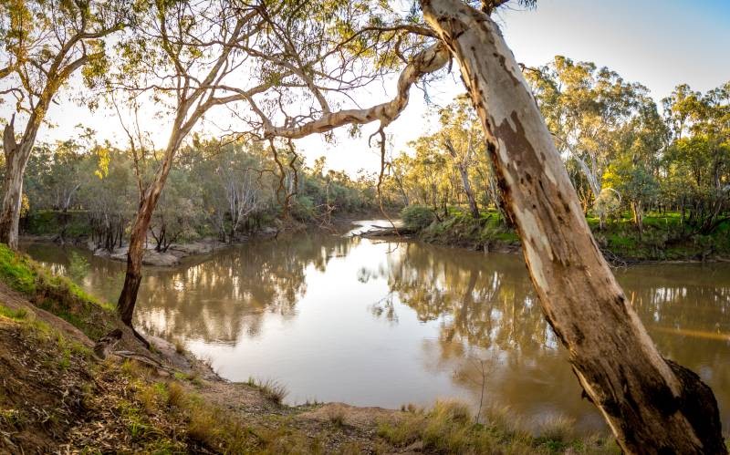 The Confluence (meeting) of the Goulburn and Broken Rivers