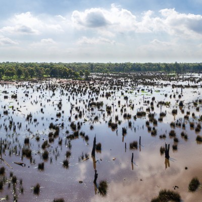 Reedy Swamp, Shepparton