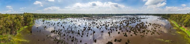 Reedy Swamp Shepparton