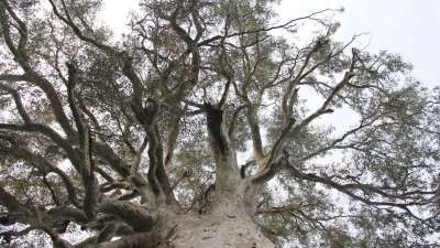 RiverConnect Caring for Nature Camp - Expressions of Interest Open