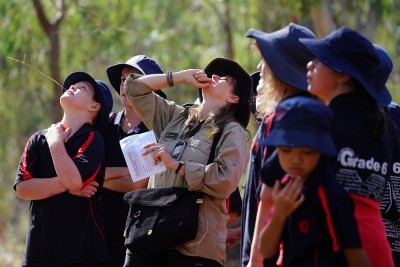 SHH SHEPP BOTANICAL 055