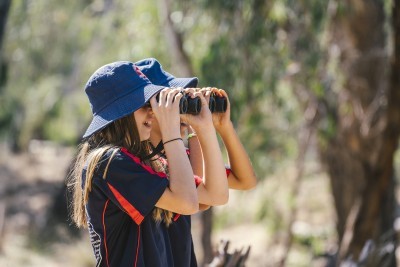 SHH SHEPP BOTANICAL 063