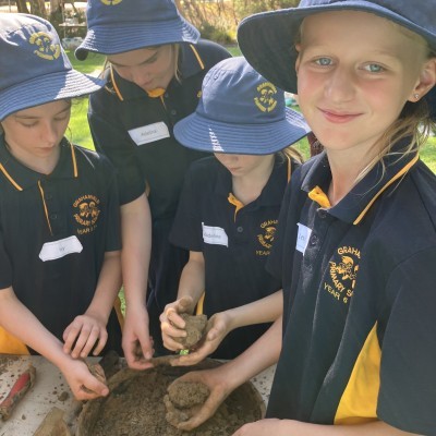 Bees and Blossoms Grahamvale