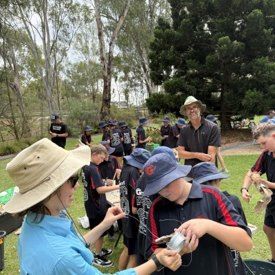Bees and Blossoms Guthrie St